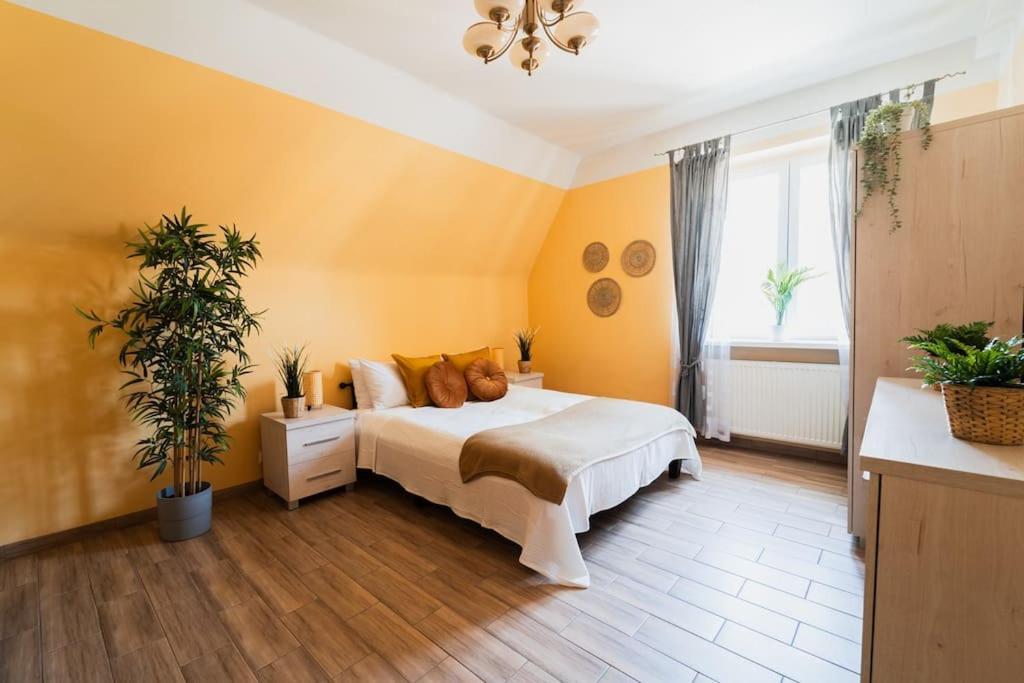 Market Square - Street Rynek 24 -2 Rooms Breslau Exterior foto